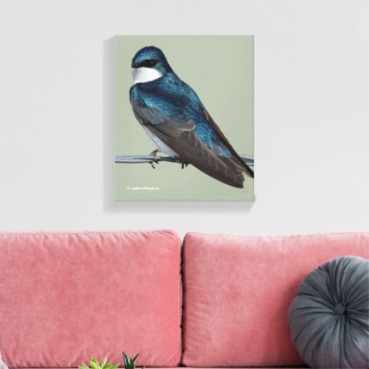 Handsome Tree Swallow: Bird on a Wire Canvas Afdruk (Insitu (Woonkamer))