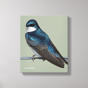 Handsome Tree Swallow: Bird on a Wire Canvas Afdruk