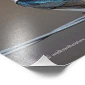 Handsome Tree Swallow: Bird on a Wire Foto Afdruk (Hoek)