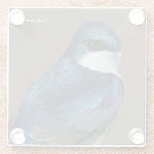 Handsome Tree Swallow: Bird on a Wire Glazen Onderzetter (Achterkant)