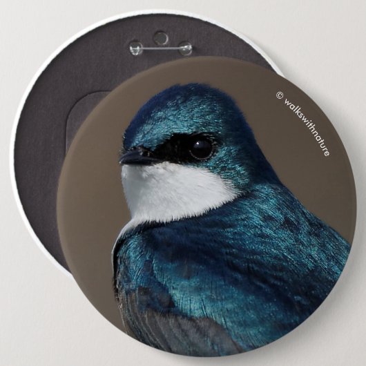 Handsome Tree Swallow: Bird on a Wire Ronde Button 6,0 Cm (Voorkant /achterkant)