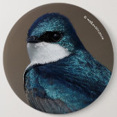 Handsome Tree Swallow: Bird on a Wire Ronde Button 6,0 Cm (Voorkant)