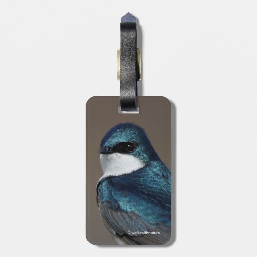 Handsome Tree Swallow Songbird on a Wire Bagagelabel (Achterkant verticaal)