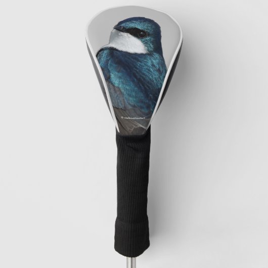 Handsome Tree Swallow Songbird on a Wire Golfheadcover (Voorkant)