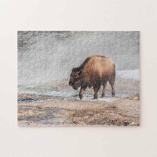 Handsome Young Bison of Buffalo Legpuzzel (Horizontaal)