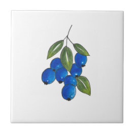 Handtekening Blauwbes Tegeltje