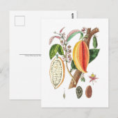 Handtekening Cacao -  kunst Briefkaart (Voorkant / Achterkant)