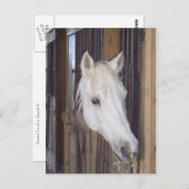 Handvat Briefkaart (Voorkant / Achterkant)