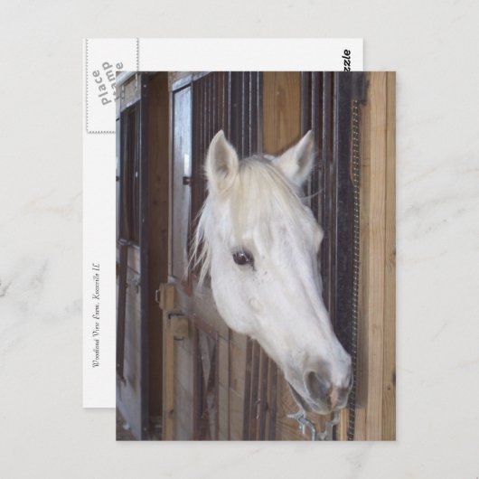 Handvat Briefkaart (Voorkant / Achterkant)