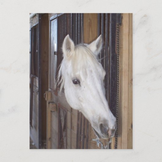 Handvat Briefkaart (Voorkant)