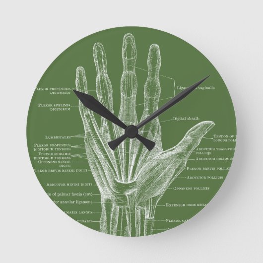 Handvingers  anatomie ronde klok (Voorkant)
