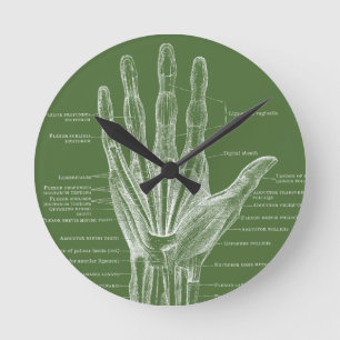 Handvingers anatomie ronde klok