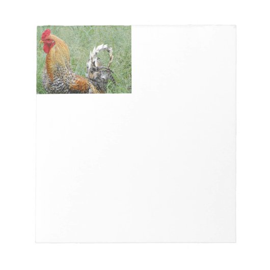 Hanen Notitieblok (Voorkant)