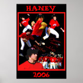 Haney Baseball Poster (Voorkant)