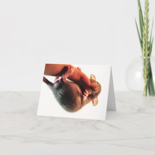 Hang bij daar Rat Kaart (Voorkant)