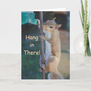 Hang daar, eekhoorn die aan vogelvoeder hangt kaart