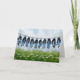 Hang daar in het puppy wenskaart kaart