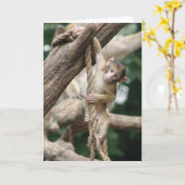 Hang daar in kaart (Gele Bloem)