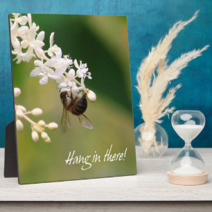 "Hang daar in" Motivatie Plaque Fotoplaat