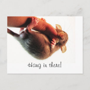Hang daar in Rat Briefkaart
