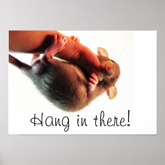 Hang daar in Rat Poster (Voorkant)