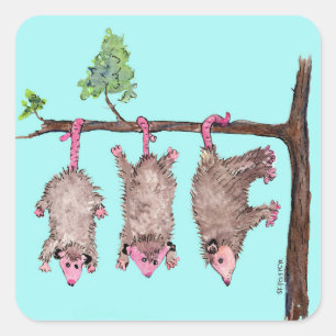 Hang erin 3 possums waterverf stickers