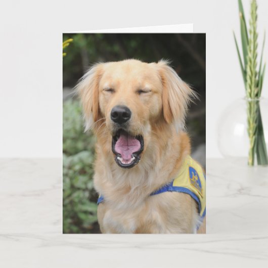 Hang in daar Wenskaart Kaart (Voorkant)