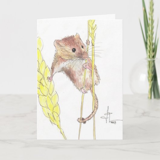 Hang In There, Dormouse. Kaart (Voorkant)