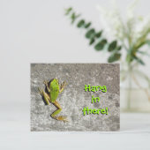 Hang in There Frog Carte postale (Debout devant)