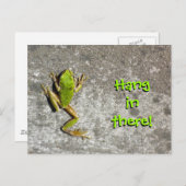 Hang in There Frog Carte postale (Devant / Derrière)
