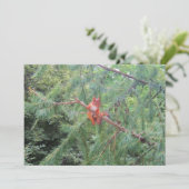 Hangen daar feestdagenkaart (Staand voorkant)