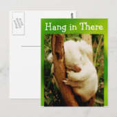 hangen in briefkaart (Voorkant / Achterkant)