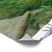 hangend meer poster (Hoek)