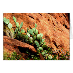 Hangende Cactus Garden Zion National Park UT Blank