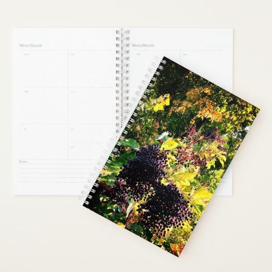 Hangende zwarte bessen planner (Display)