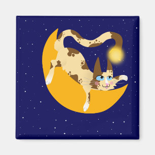 HANGGEN OP HET MOON MAGNEET