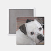 hanghond magneet (Voorkant / Achterkant)