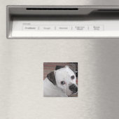 hanghond magneet (Insitu (Vaatwasser))