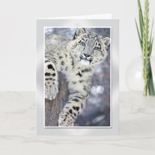 Hangin rond….(w/border) kaart (Voorkant)