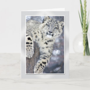 Hangin rond….(w/border) kaart