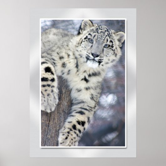 Hangin rond...(w/grens) poster (Voorkant)