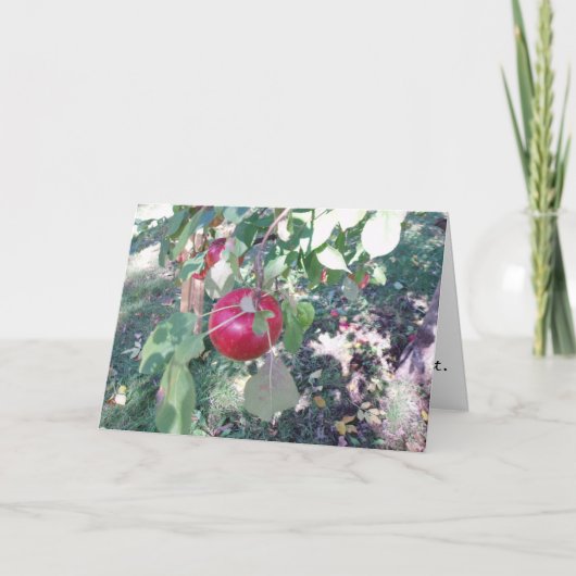 "Hanging Apple" Feliciterende Kaart (Voorkant)