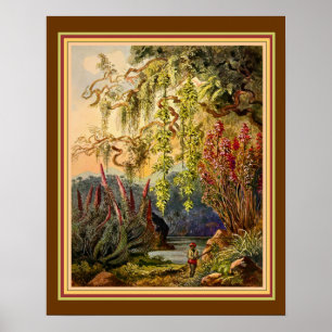 "Hanging Bamboo of Sri Lanka" door Haeckel ca. 188 Poster