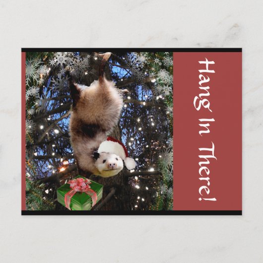 Hanging In There ! Carte postale de Christmas (Devant)