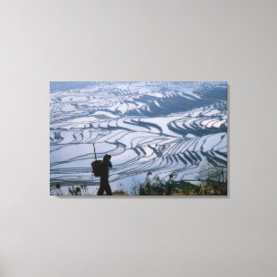 Hani-meisje met mand met rijstterras, canvas afdruk