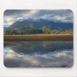 Hanmer Springs Muismat