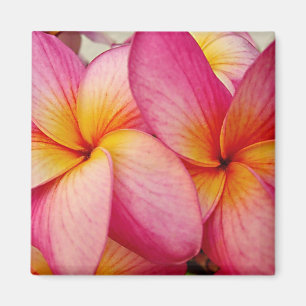 Hanna Pink Glow Plumeria Magnet Magneet