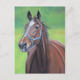Hanover Horse Art Briefkaart