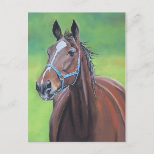 Hanover Horse Art Briefkaart (Voorkant)