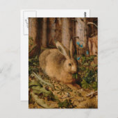 Hans Hoffmann A hare in het bos Briefkaart (Voorkant / Achterkant)